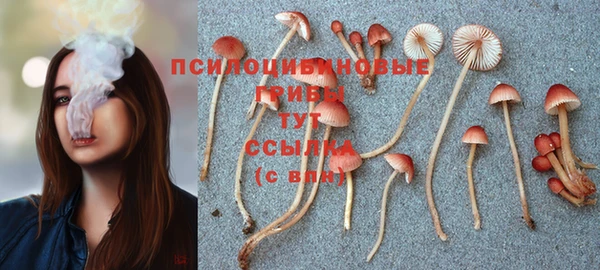 кокаин перу Абаза