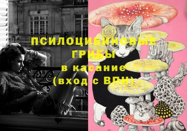 кокс Абинск
